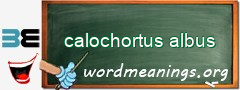 WordMeaning blackboard for calochortus albus